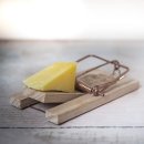 주식회사본건축인테리어 | 인테리어 플랫폼의 현장 사진 무단 사용 논란 (19평 2300만원의 진실)