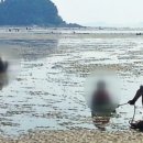 서천 바닷가 갯벌 이미지