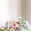 수원-0748 네이버블로그
