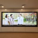 참포도나무기획 - 천안시 동남구 천안여상로 19 | 참포도나무기획