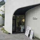 GS25울릉저동점 | 울릉울릉 울라울라 울릉도 3일차