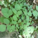 양산갈고리 이미지