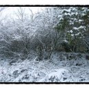 호당미술관 이미지