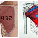 개어드레서 이미지