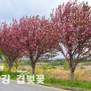 우산천변길 이미지