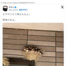 제비