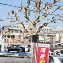 재운카독크 이미지