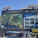 어시장길 이미지