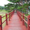 덕적식당민박 이미지