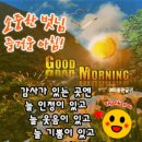 하루의 행복 Daum카페