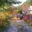 조현리 조현길 이미지