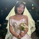 [공지] [견적공유] 세인트헬레나 드레스투어후기 당일혜택공유