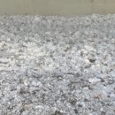 영농조합법인 더듬이 이미지