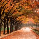 아름다운날들공인중개사사무소 이미지