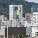 금평개발