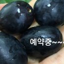 황영농장 이미지