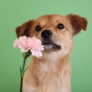 견생유치원 이미지