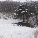 멍순농장 이미지