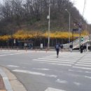석남고가교 사거리 횡단보도 이미지