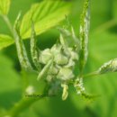 종복농장 이미지