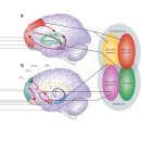 명륜신경정신과의원 이미지