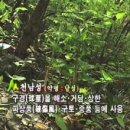 한국약초