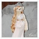 테지움사파리 이미지