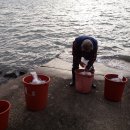 대천농협주유소 이미지