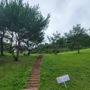 정월골프클럽 | 골프 Par3 골프장 리뷰 | 정월골프클럽 | 대구근교 김천 14홀 파3 구장