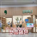 아비꼬 일산탄현제니스스퀘어점 | 일산 고양이 카페 캣플헤븐 일산탄현점