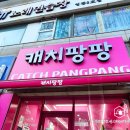 캐치팡팡 이미지