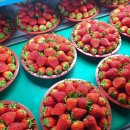 고우농장 이미지