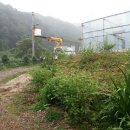 태평농장 이미지