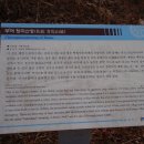 부여농협동부지소