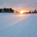 For Some - 이미지