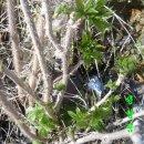 백모농장 이미지