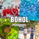 섬띠농장 | 보홀 3박5일 일정 필리핀 보홀 여행 완벽 정리