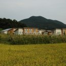 산마을고등학교 Daum카페