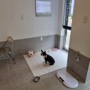 몽비쥬 펫살롱 이미지