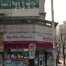 애니웰 동물병원 | 고양 백석동 동물병원 애니웰동물병원 위치 오는길 후기