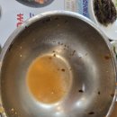 포항물회집 - 광명시 안재로2번길 33 | [인천 구월동 맛집] 포항집 | 신선함 끝판왕 '해전물회' 내돈내산 솔직후기