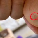 제주유나이티드FC전용구장 천연잔디구장 | 미즈노 모렐리아 네오 4 베타 엘리트 유소년 축구화 추천