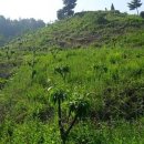 알밤농장 이미지