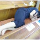 승철목장 Daum카페