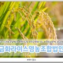 신선쌀영농조합법인 이미지