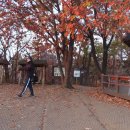 황금내근린공원 이미지