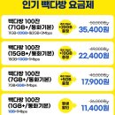 접속다방 | 알뜰폰 셀프 개통 빽다방 요금제로 하루하루 커피 한 잔