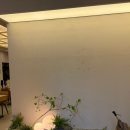 오렌지반점 | [둔산동 중식맛집] "불타는 반점"｜홀넓고 맛있는 곳