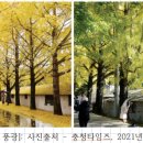 주중초교 병설유치원 이미지