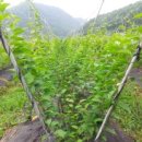 뚝심농장 이미지